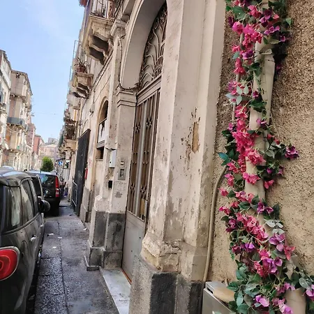 Carmen House بيت ضيافة *