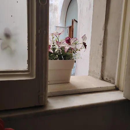 بيت ضيافة Carmen House كاتانيا
