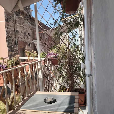 بيت ضيافة Carmen House